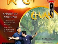 Tai Chi Workshop 2009